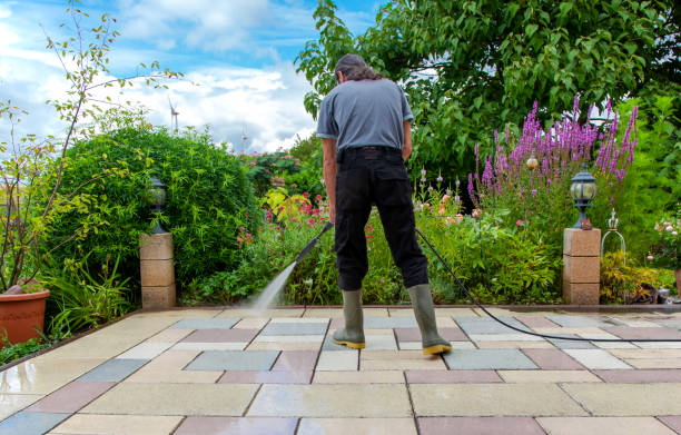 Best Animal Enclosure Cleaning  in Port Chester, NY